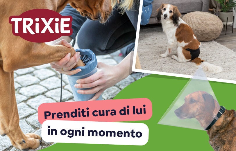 Scopri i prodotti!